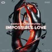 Impossible Love