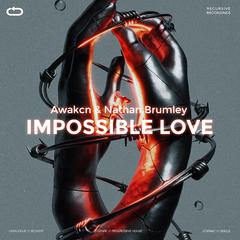 Impossible Love