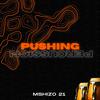 Mshizo_21 - Killer Instinct .mp3 (feat. Sjavas Da Deejay & Lk Deep Strix)