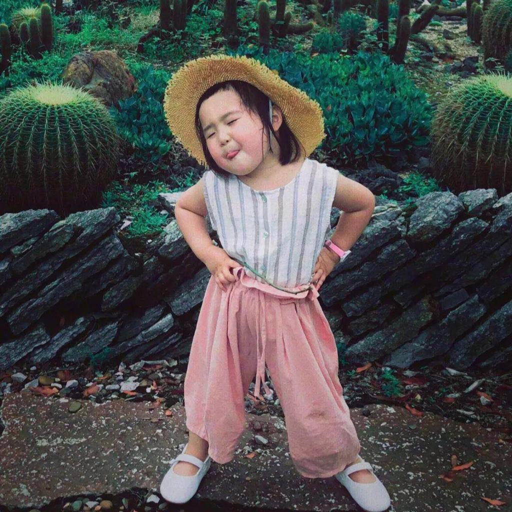 闽南语也能如此浪漫治愈