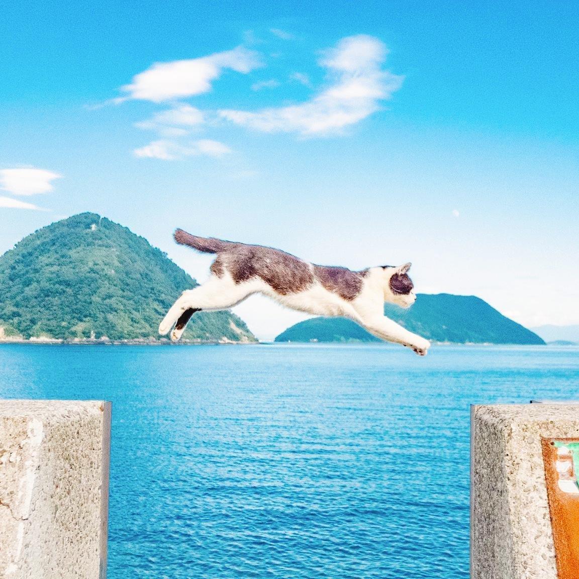 治愈指南丨秋日空气中弥漫的温暖甜味