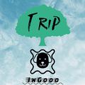 Trip