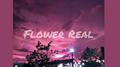 FlowerReal专辑