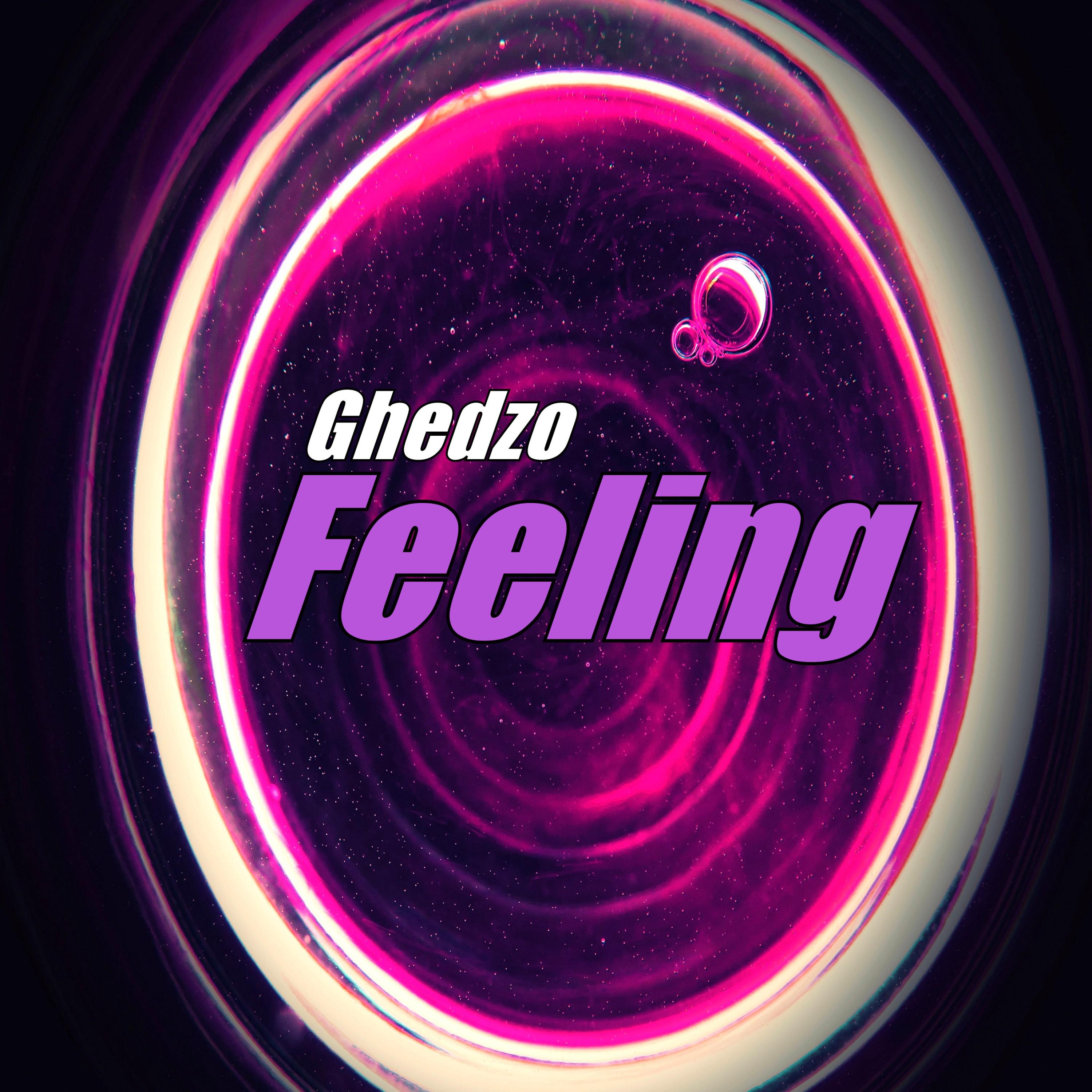 Ghedzo - Such a Feeling