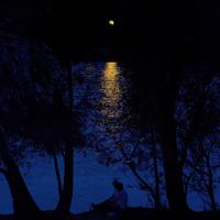 宇落海 - 四点的海棠花未眠