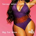 Big Fat Mom专辑