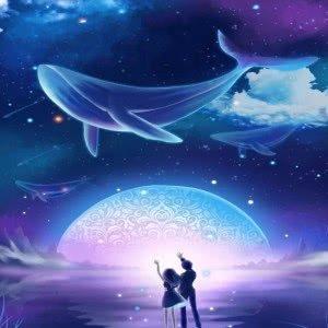 EDM(广义) (不含hard) | 在线播放 | 网易云音乐