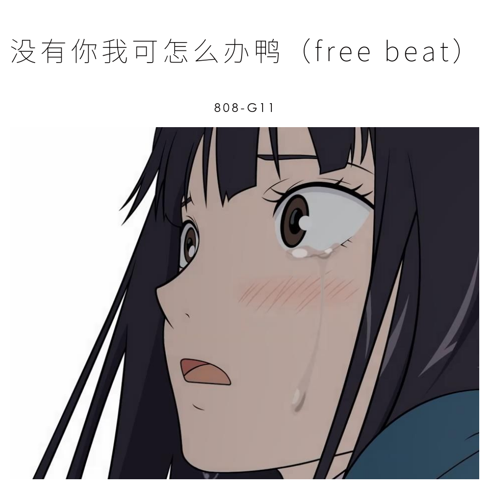 没有你我可怎么办鸭（free beat）专辑