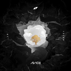 Avicii feat. Aluna George - What Would I Change It To (无损版Ins) 原版无和声伴奏