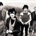 Siouxsie and the Banshees