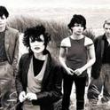 Siouxsie and the Banshees