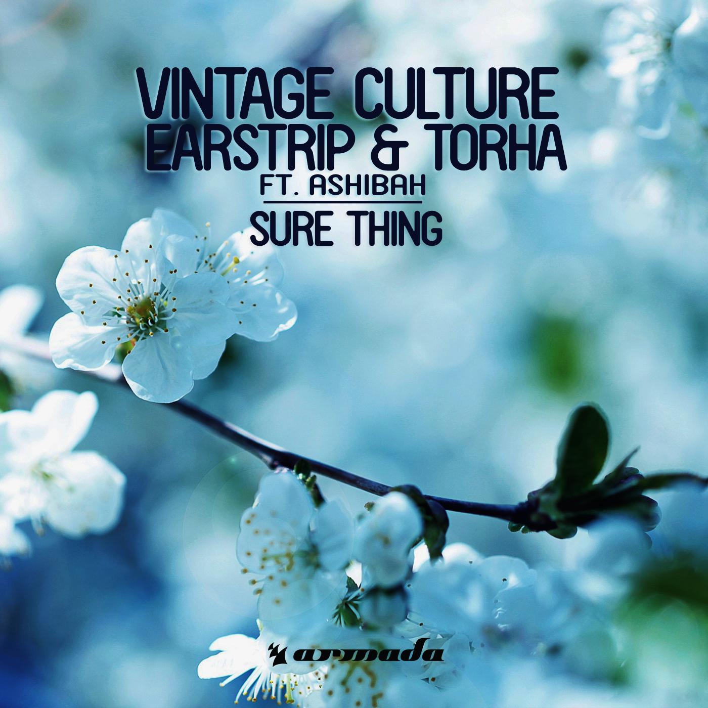 Vintage Culture - Sure Thing (Original Mix)
