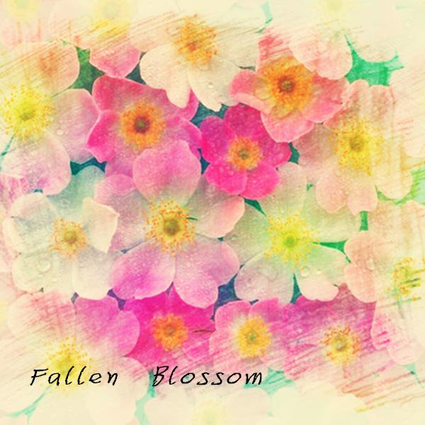 Fallen Blossom专辑