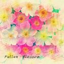 Fallen Blossom专辑