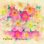 Fallen Blossom专辑