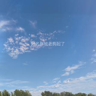 每首都可循环一天 | 节奏(不定时更新)