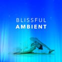 Blissful Ambient专辑