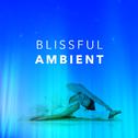 Blissful Ambient专辑