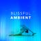 Blissful Ambient专辑