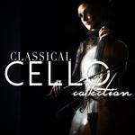 Cello Suite No. 5 in C Minor, BWV 1011: II. Allemande