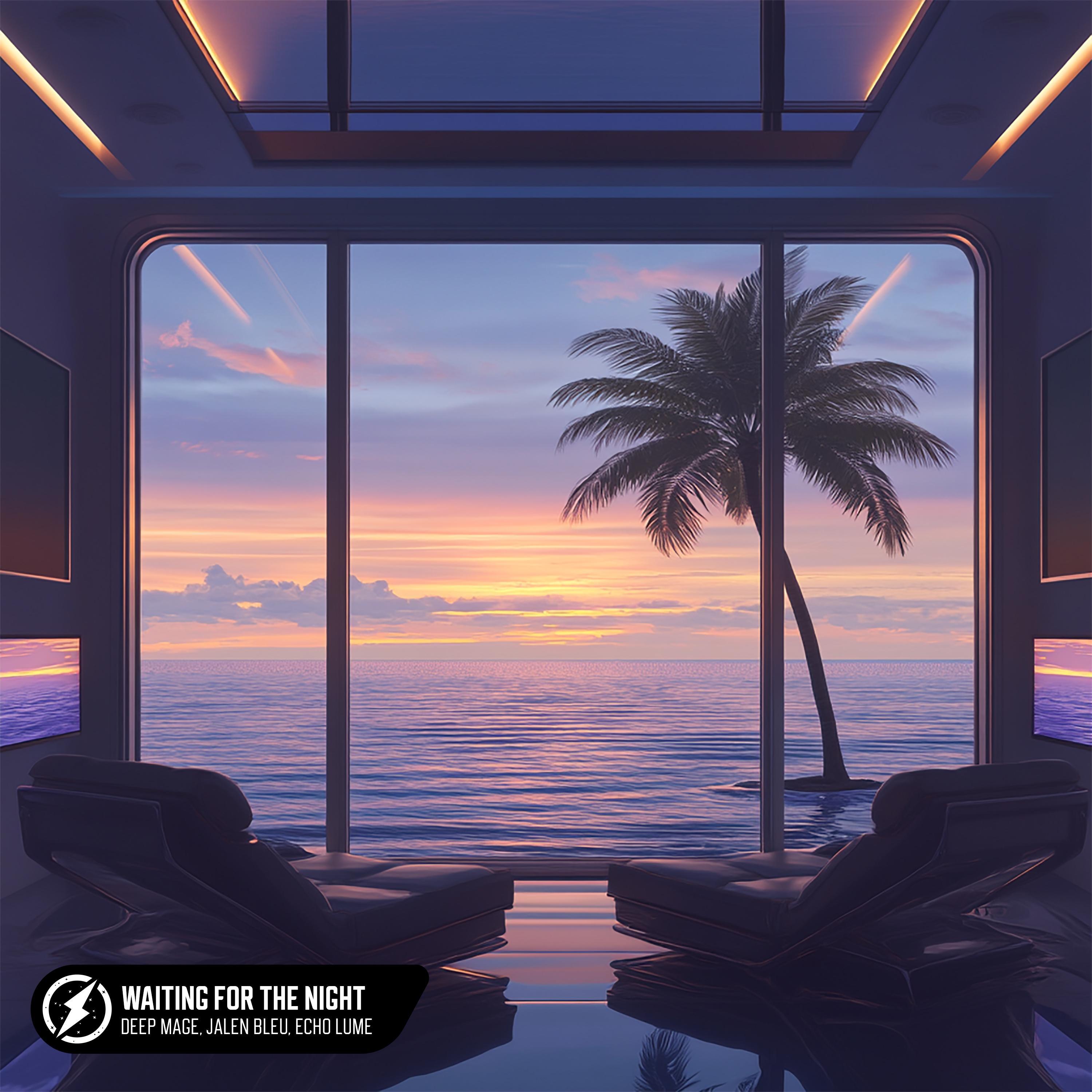 Waiting For The Night