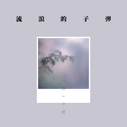 流浪的子弹