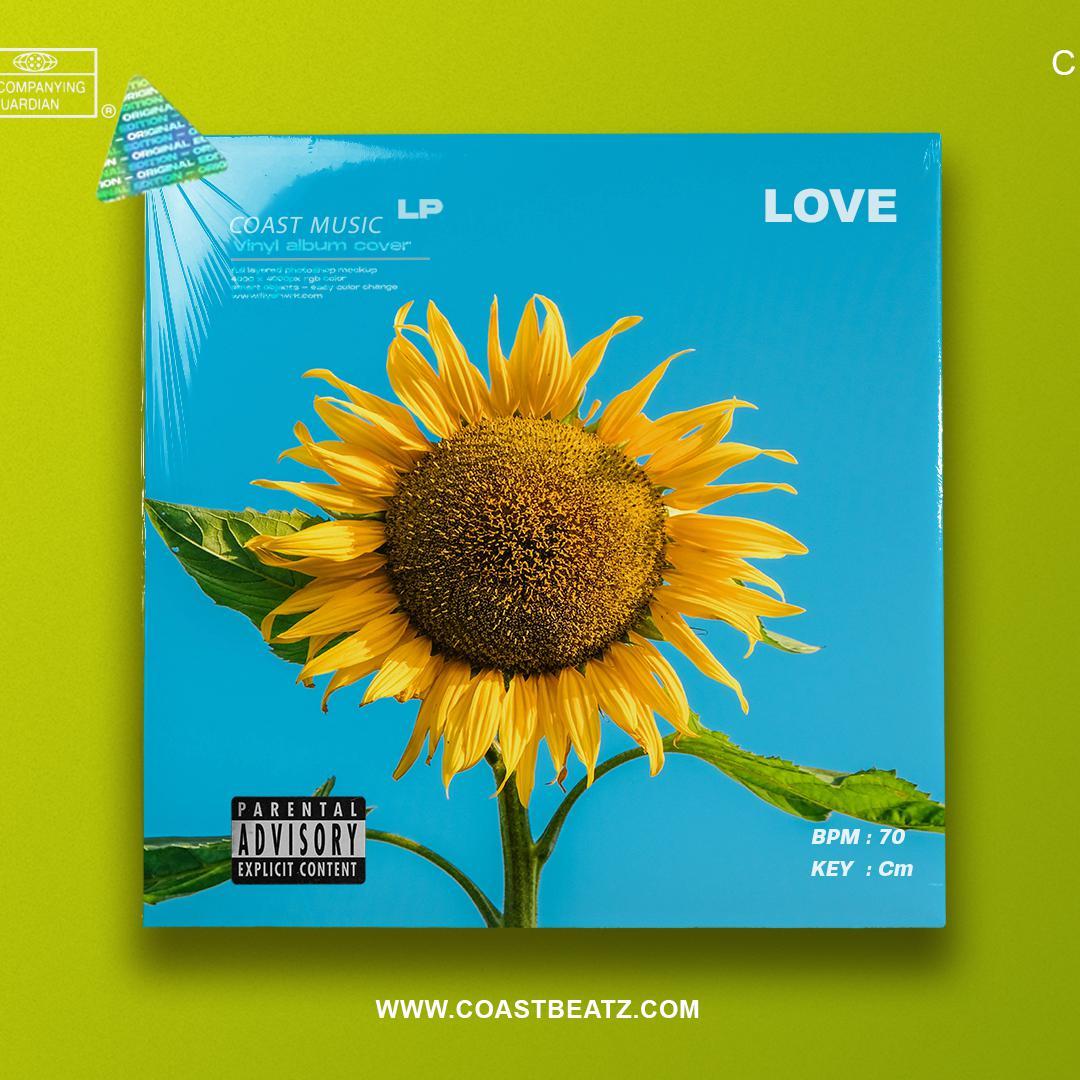 H.E.R R&B Guitar Type Beat | "LOVE"