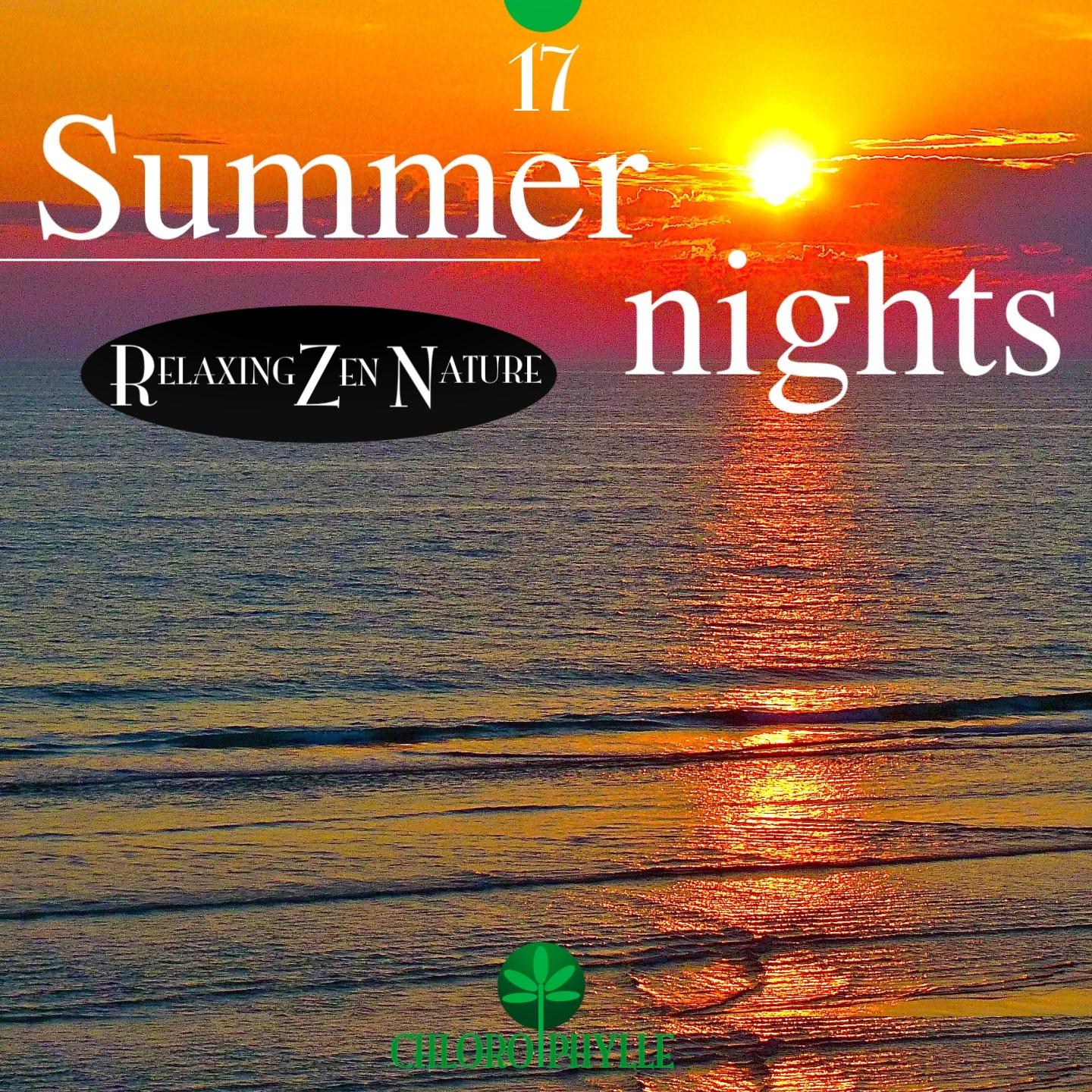Mysterious Moonlight Shadow - Relaxing Zen Nature/André Garceau/Bruno ...
