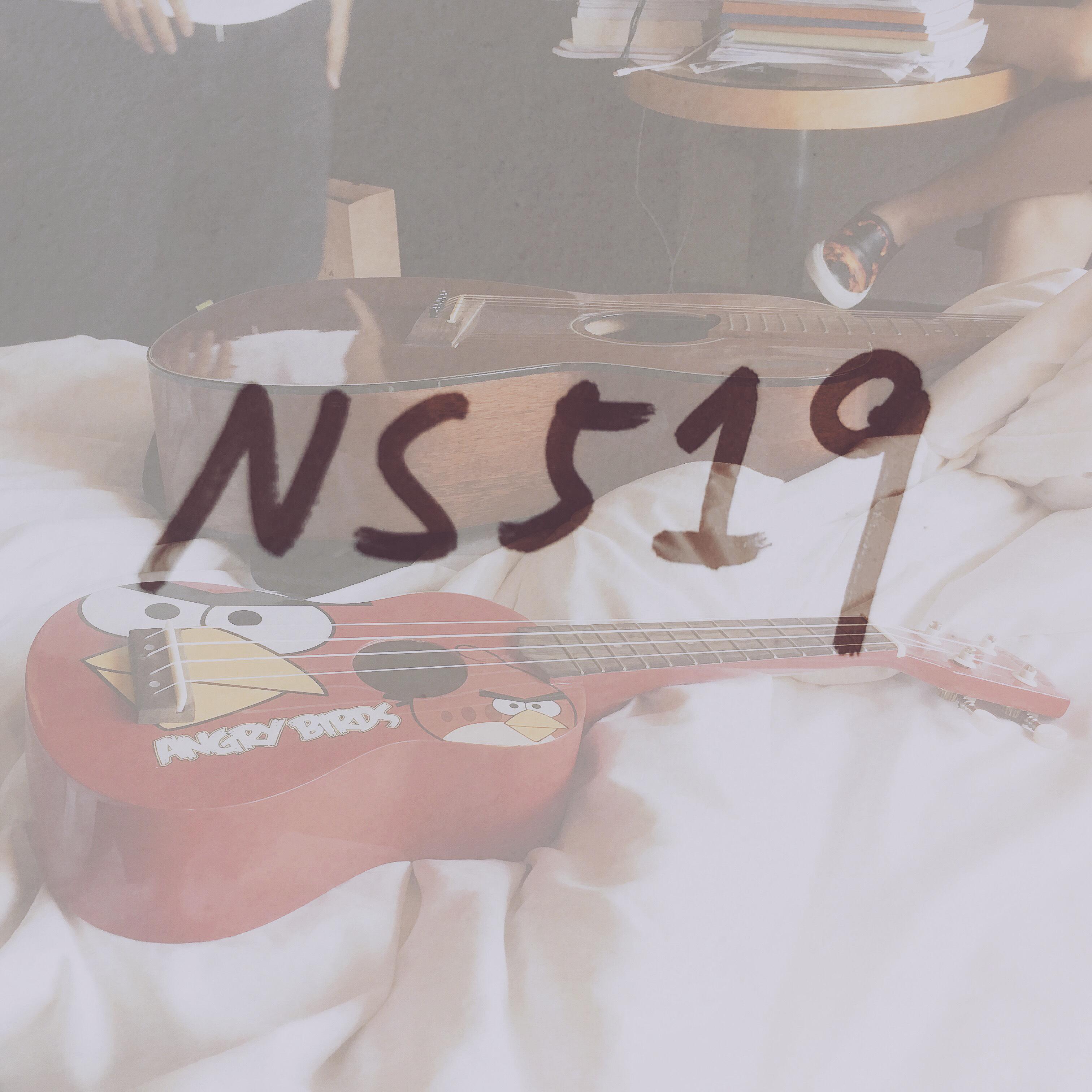 NS519专辑