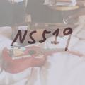 NS519