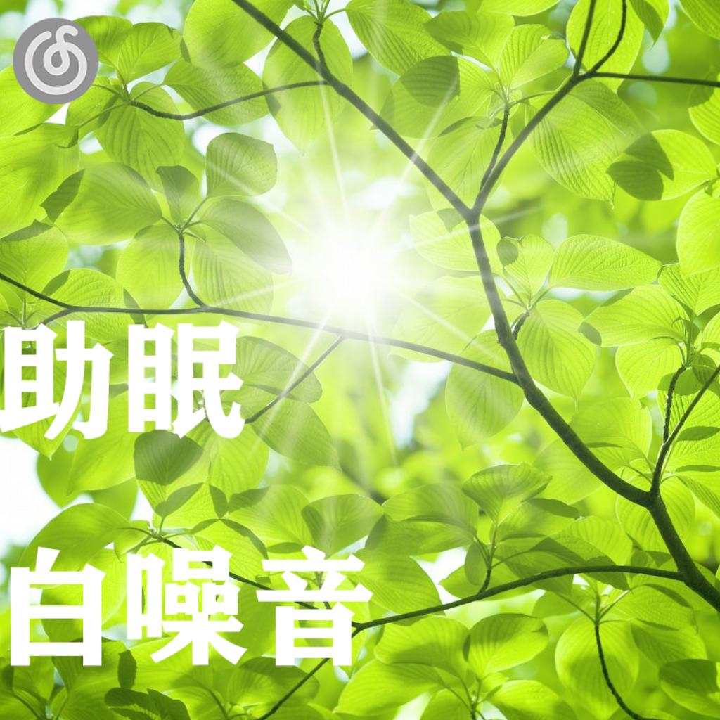 助眠白噪音|没有人可以醒着听完这个歌单
