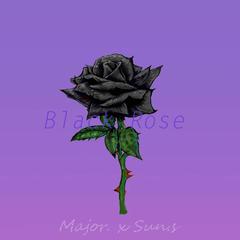 Black Rose（黑蔷薇）