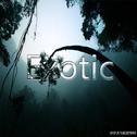 Exotic专辑