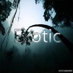 Exotic专辑