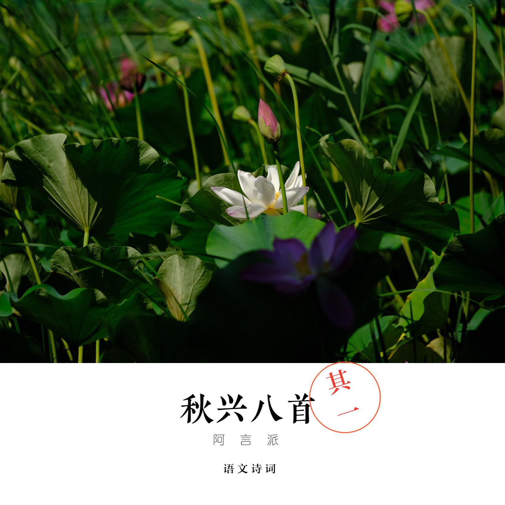 秋兴八首其一