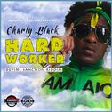 Hard Worker (Devine Sanction Riddim)