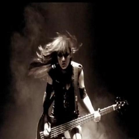 贝斯Bass solo