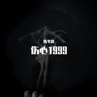 伤心1999（王杰带主旋律伴奏）