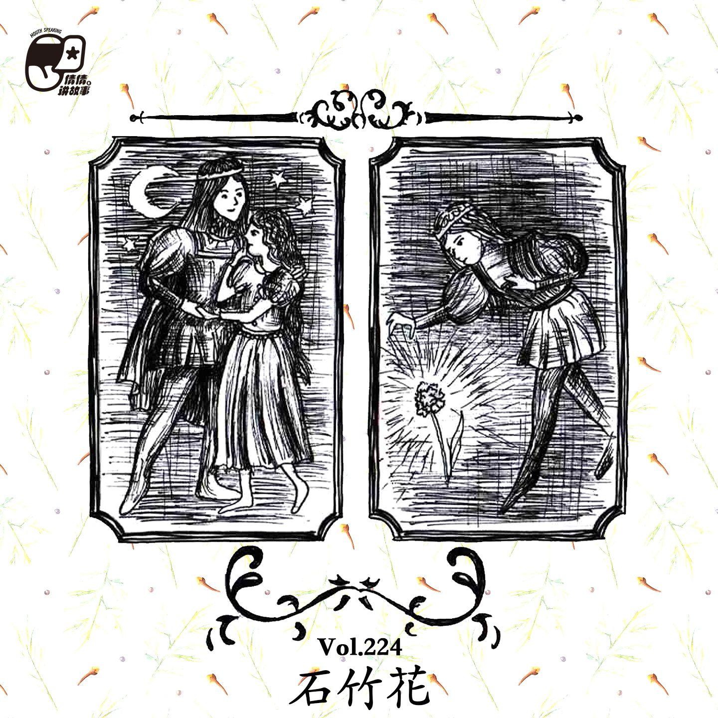 石竹花 - 倩倩讲故事