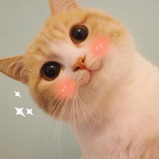 // ^₀*（蹦蹦跳跳少女心