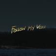 Follow My Voice