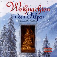 原版伴奏   Christmas - Alle Jahre Wieder (karaoke)