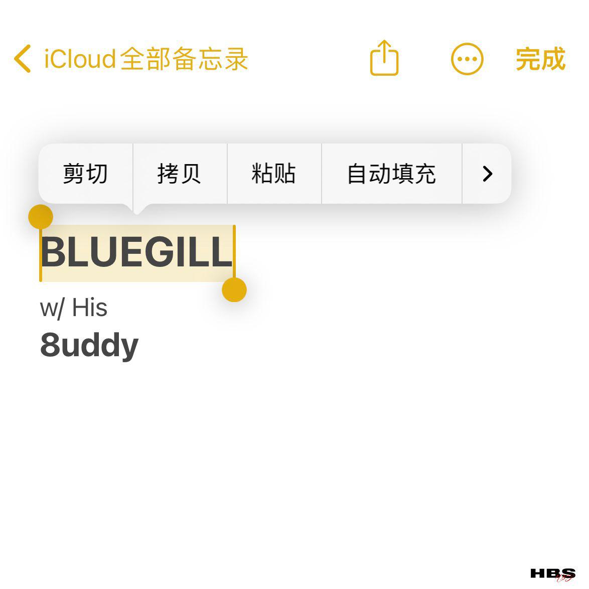 BLUEGILL - 说唱祖宗