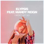 I Won't Let Go (Extended Vocal Mix)