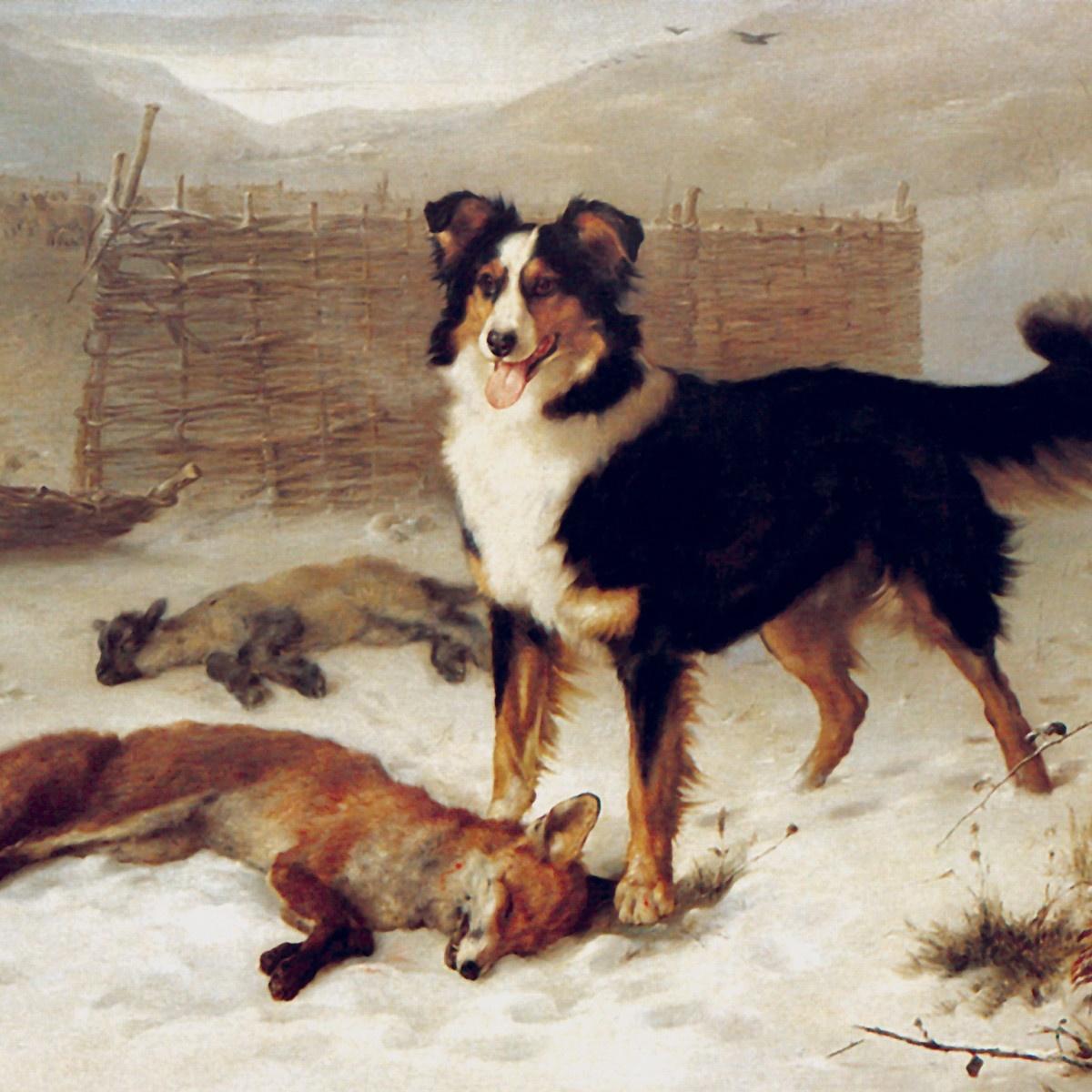 The big hunt