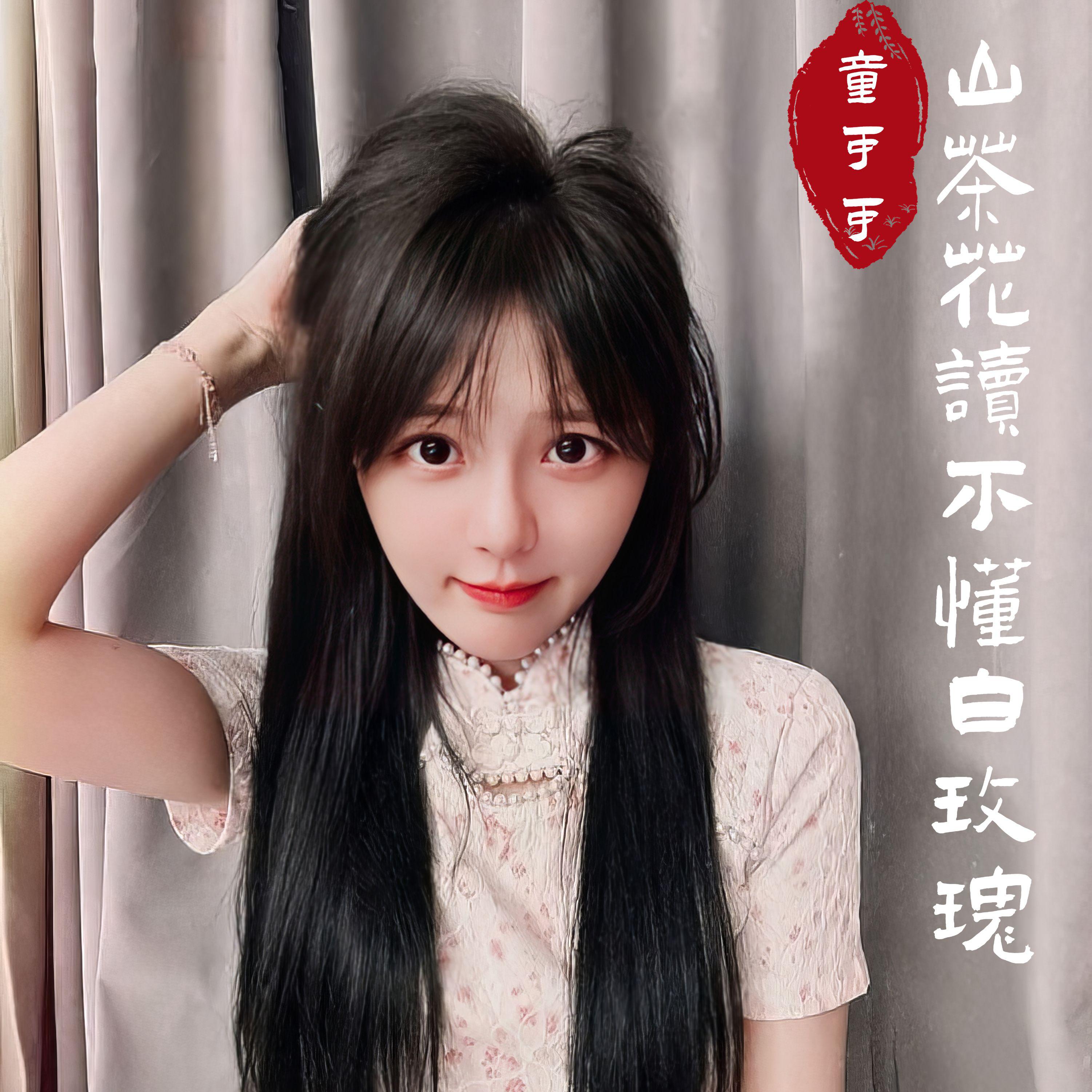 山茶花读不懂白玫瑰