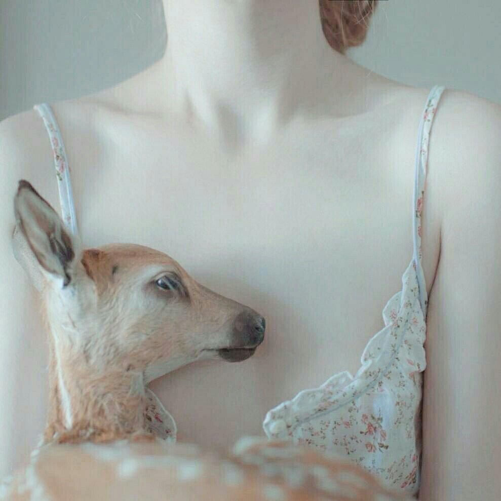 欧美 私藏❤ 持续更新仙嗓新歌