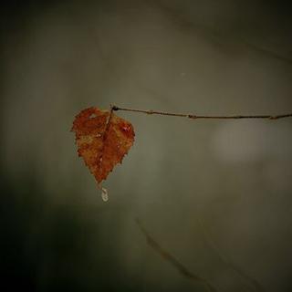 那些听完就会怀孕的声音