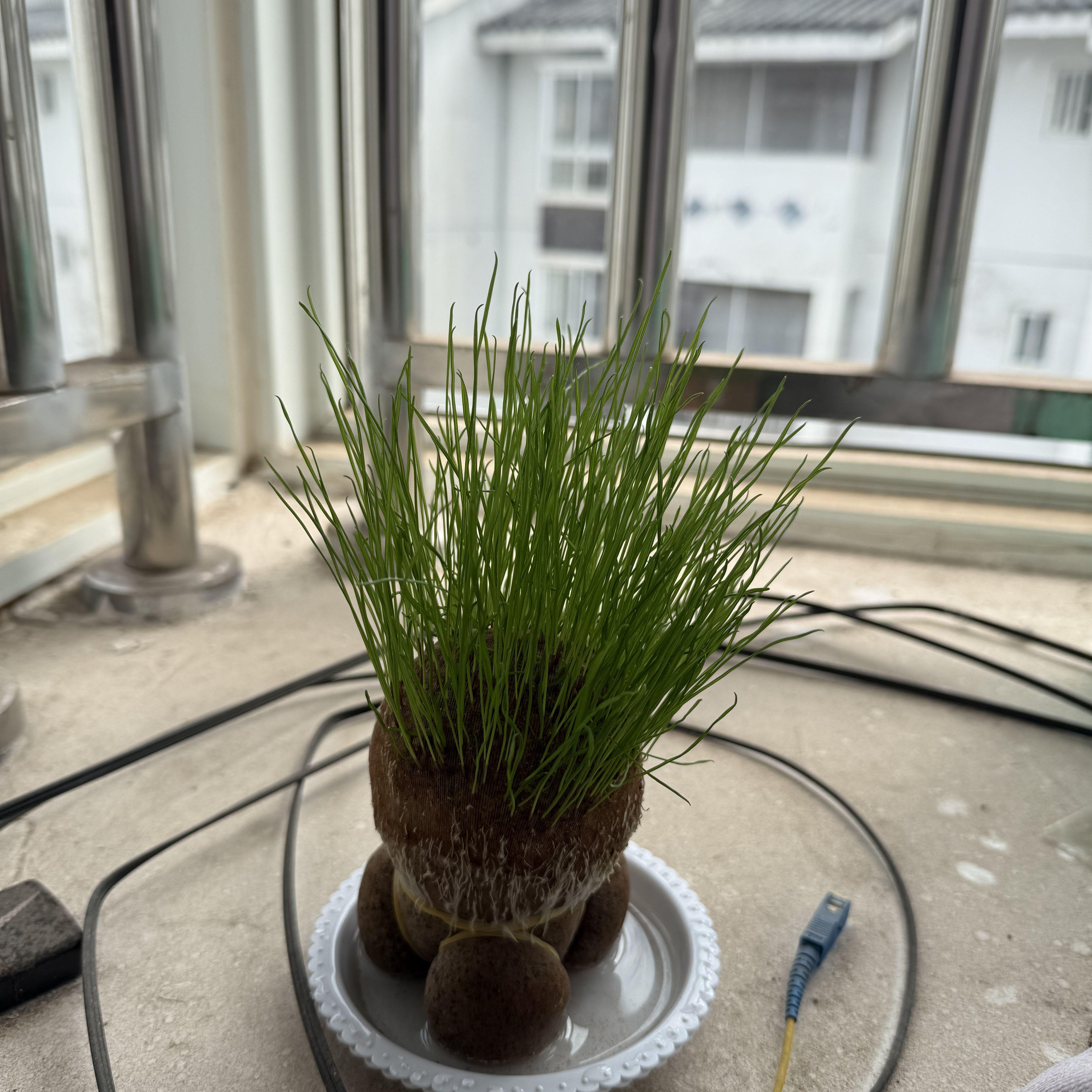 孤独因为你翻了一番