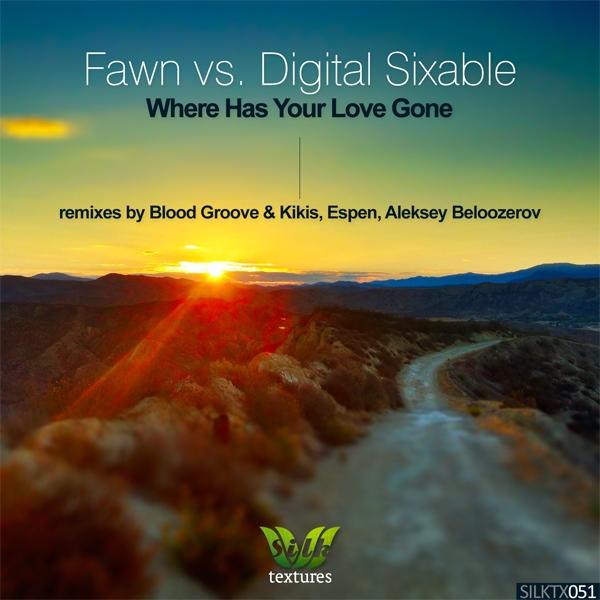Where Has Your Love Gone (Remixes)